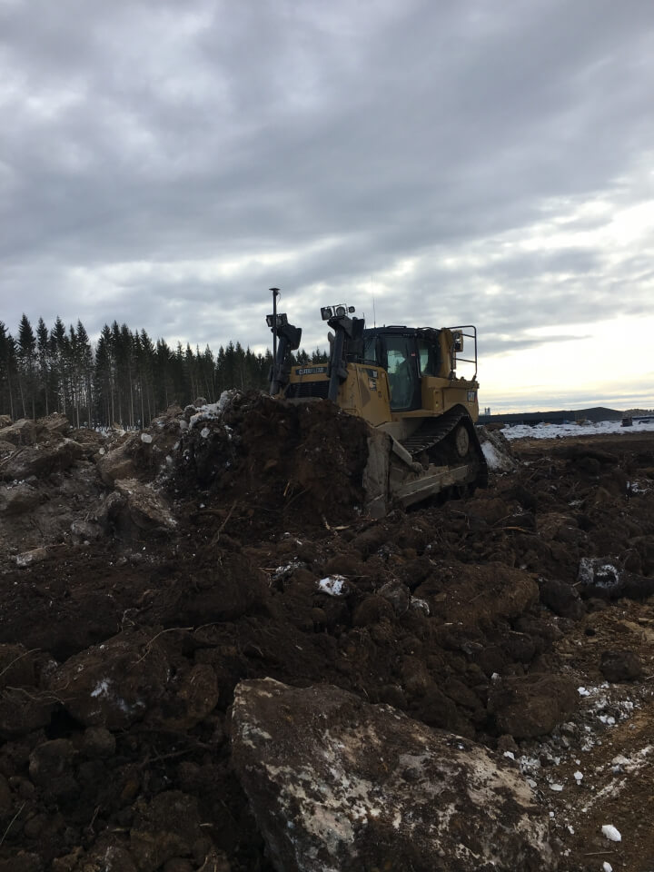 Bladning vegetation i ELP-Norra